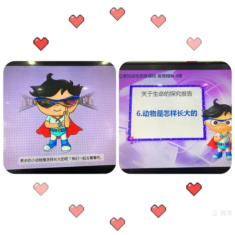 探索小超人:"我发现:动物是从出生开始不断地长大,成熟,变老的